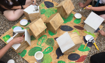 Bird Boxes 2