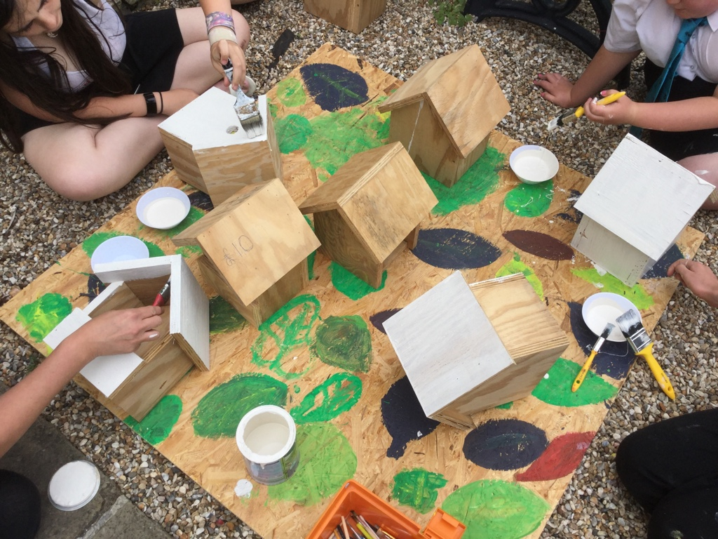 Bird Boxes 2